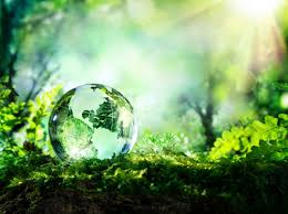 Pollution Free Environment